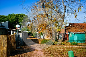 Holy Land Series - Kibbutz fall colors photo