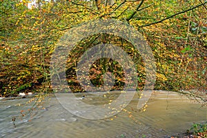 Holywell Dene in Autumn Colour