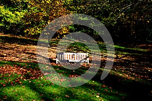 Holywells Park, UK, colors of autumn leaves, bench