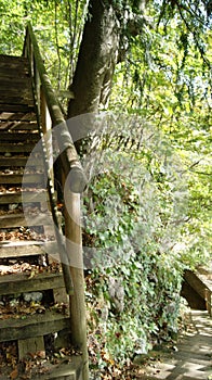 Holz Stiegen im wald photo