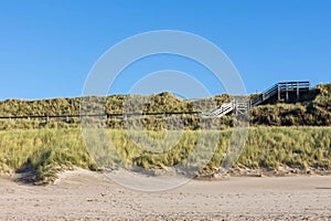 Path of wood leading over a dune