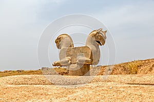 Homa Bird in Persepolis