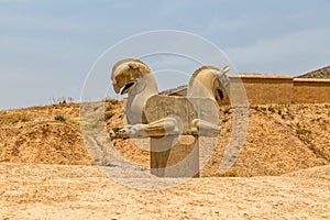 Homa Bird in Persepolis