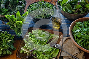 A variety of freshly picked leafy greens ready for salad making photo