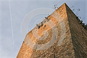 Homage Tower of Olivenza castle with plane trail
