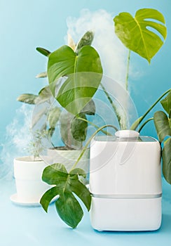 home air freshener and humidifier to clean the air and humidify the house plants