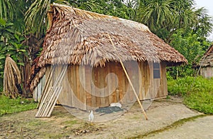 Home in an Amazon Village