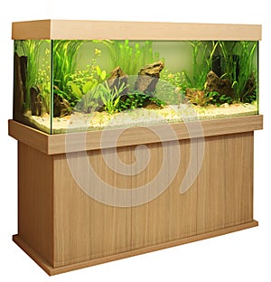 Home aquarium photo