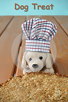Home-baked dog pastry, Toy dog wearing a cook chef hat.