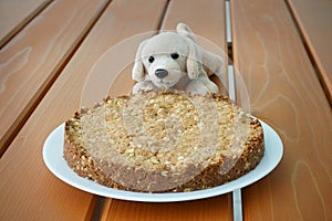 Home-baked dog treat pastry unsweetened. Dog soft toy.