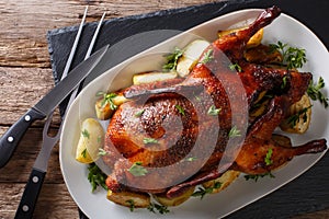 Home-baked duck stuffed with apples close-up on a plate. horizon