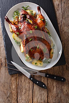 Home-baked duck stuffed with apples close-up on a plate. Vertical top view