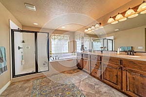 Home bathroom interior with bathtub shower stall and double sink vanity unit