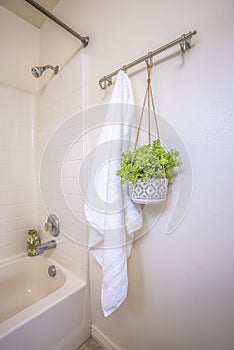 Home bathroom interior with towel and hanging plant beside the built in bathtub