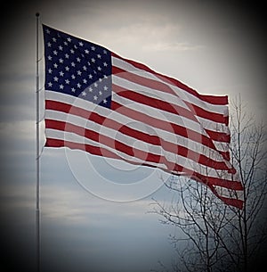 Home of the brave flag