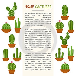 Home cactuses mockup photo