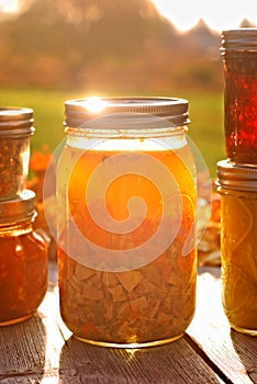 Home Canned Chicken Soup