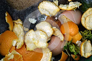 Home: compost bucket with rotting food detail