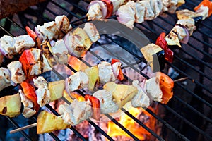 Home Cooked Kabobs on the Grill