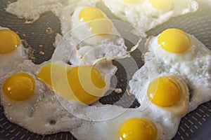 Home cooking. Fried quail eggs in frying pan