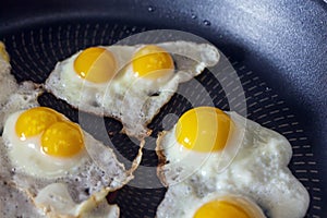 Home cooking. Fried quail eggs in frying pan