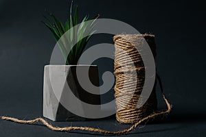 home decor. artificial green plant and flax rope twine on black background