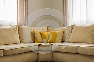 Home decor. Cozy stylish living room interior of modern apartment and trendy furniture.