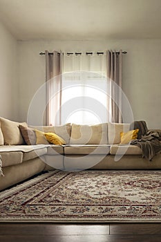 Home decor. Cozy stylish living room interior of modern apartment and trendy furniture.