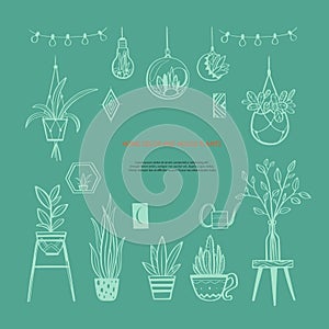 Home decor and House plants vector hand drawn set. Home decorations and interior design elements.Isolated boho and
