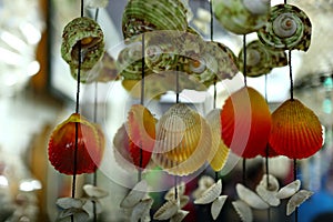 Home decoration of beads made from sea shells