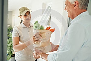 Home delivery service, fresh vegetables and customer paper bag logistics of healthy groceries at front door house. Happy