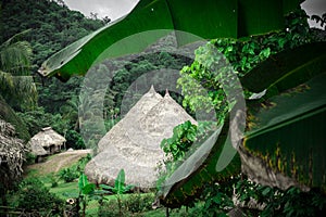 Beautiful Embera village in Panama. photo