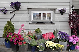 Home flower garden in Norway