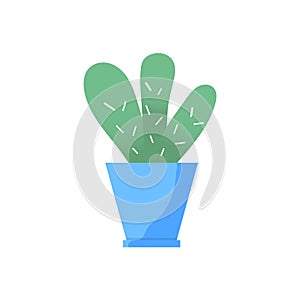 Home garden. colored flower botanical, bright flowerpot. house plant with leaves, succulent cactus. Isolated element on white