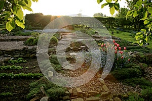 Home garden cultivated according to the principle of permaculture.