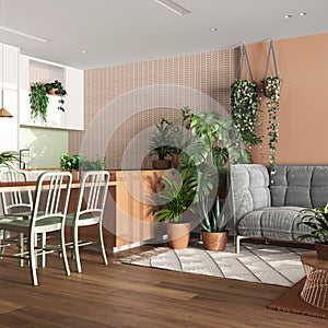 Home garden, dining and living room in white and orange tones. Island with chairs, parquet and mani houseplants. Urban jungle