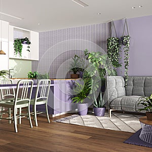 Home garden, dining and living room in white and purple tones. Island with chairs, parquet and mani houseplants. Urban jungle