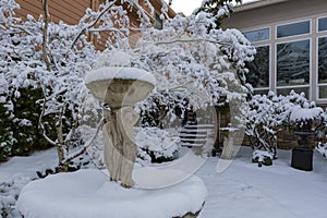 Home Garden Front Yard Covered in Snow