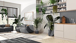 Home garden love. Kitchen and living room interior design in white and gray tones. Parquet, sofa and many house plants. Urban