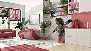 Home garden love. Kitchen and living room interior design in white and red tones. Parquet, sofa and many house plants. Urban