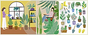 Home garden. Set of illustration and vector elements about the home plants and interior green decor.