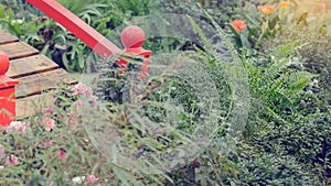 Home garden shrouded in fog with flowers, small pond and bridge arch