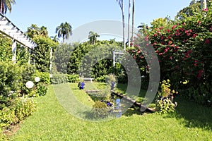 Home garden with small pond