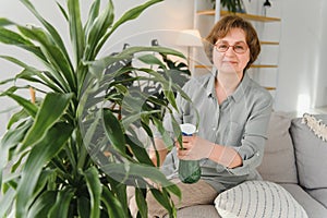 Home gardening. Happy senior woman with glasses caring for the plant. Smiling elderly woman spraying aloe vera with a