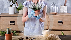 Home gardening plant transplantation garden tools