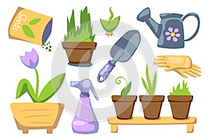 Home gardening set with plats in pots. Spring gardening vector clipart on white background. Garden hobby icon