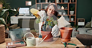 Home, gardening and woman with plant pot, spade and seeds with a gardener with fertilizer for growth. Calm, leaves and