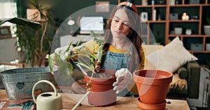 Home, gardening and woman with planting pot, soil and seeds with a gardener with spade for growth. Calm, leaves and eco