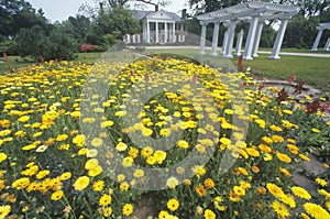 Home and gardens of the Boone Hall Plantation photo