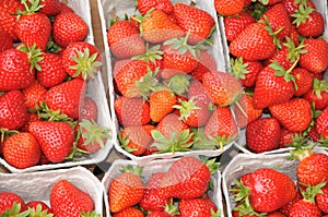 Home grow strawberry fruit on sale in Copenhagen Denmark